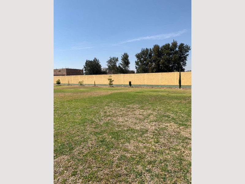 1556_207eb4a6-f4a1-4eac-b18f-4f9540da7251