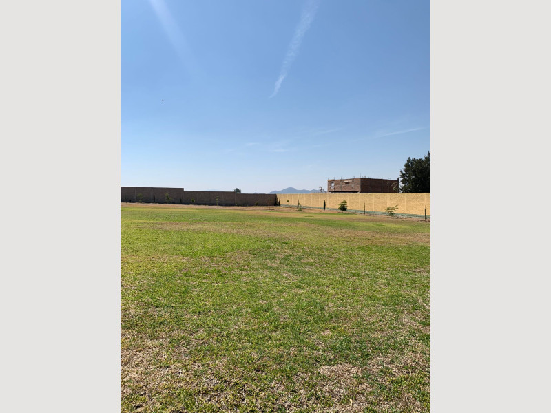 1556_5a28a0c4-baa0-492e-b97a-2f7ef06fca8d