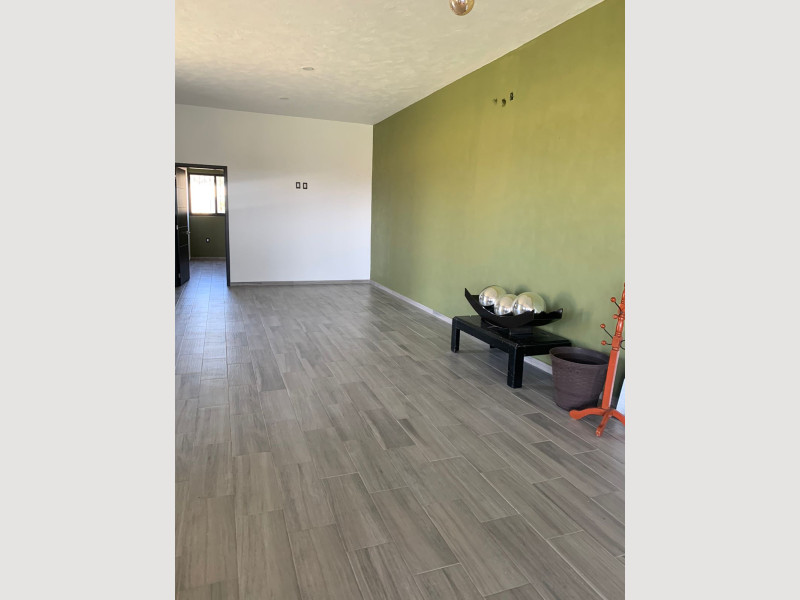 1556_812c5956-6a4a-4ad8-9dc2-1e59d4f36678