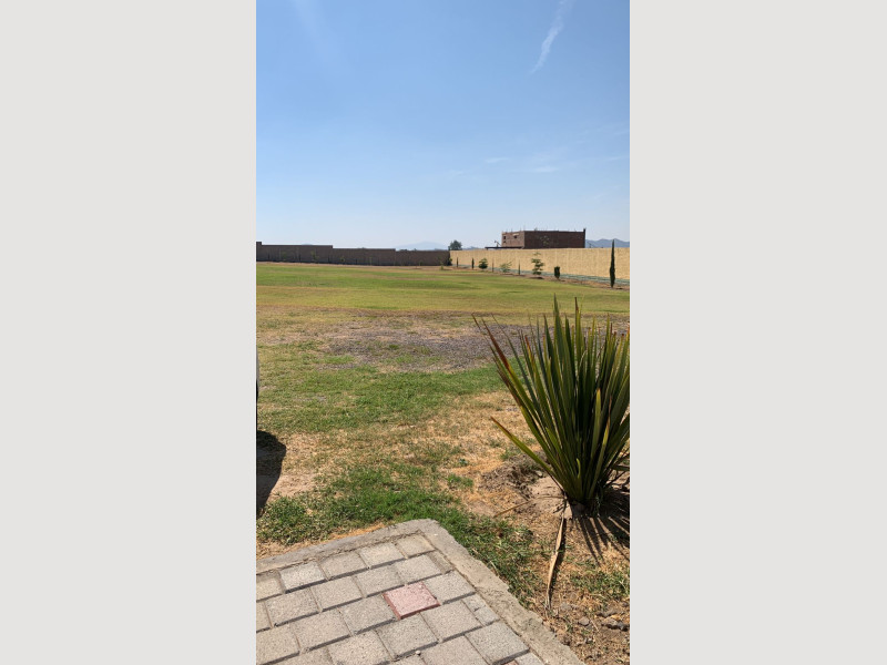 1556_c2990782-be2e-472c-afa9-2ea4d1434f32