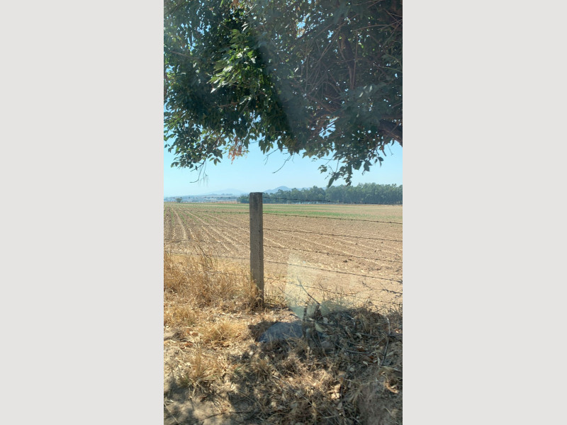 1556_d794c61c-999c-46c3-a19d-4cda67e55cbe