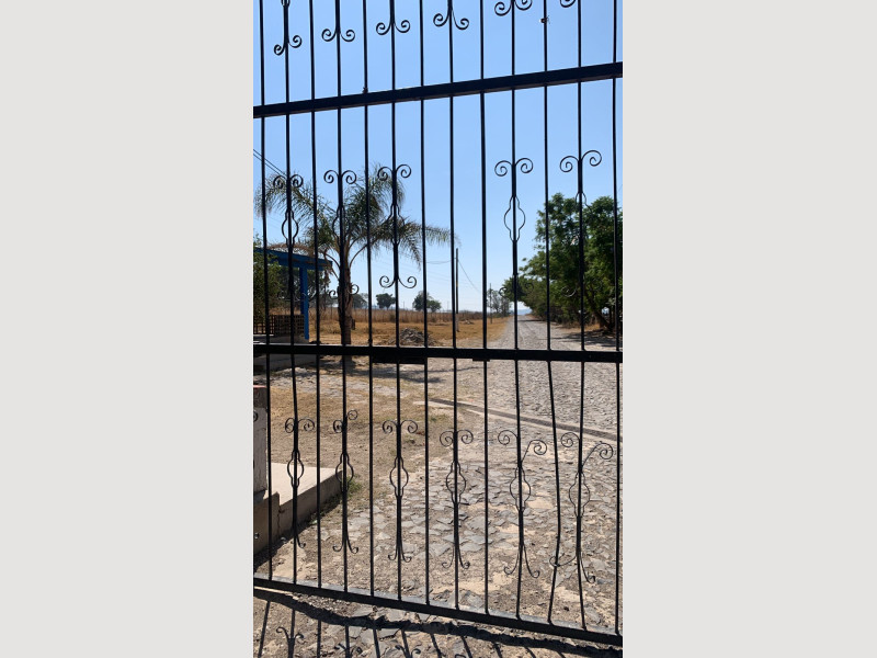 1556_e4a7bff9-74de-48c1-a0a4-60a694cb1fee