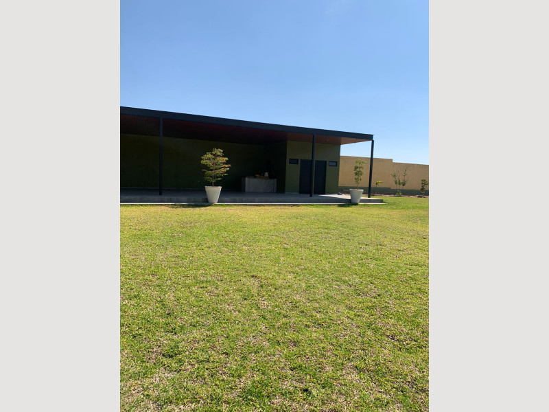 1556_e922c30f-0341-4d8e-b5e6-0b6c72ced454