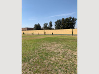 1556_207eb4a6-f4a1-4eac-b18f-4f9540da7251